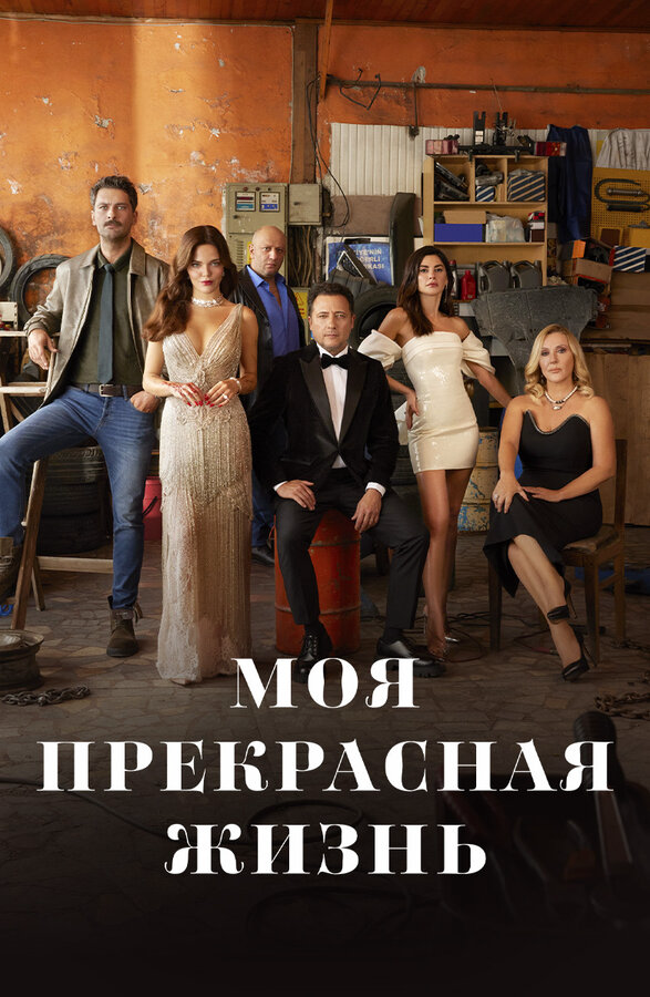 Моя прекрасная жизнь постер - смотреть онлайн